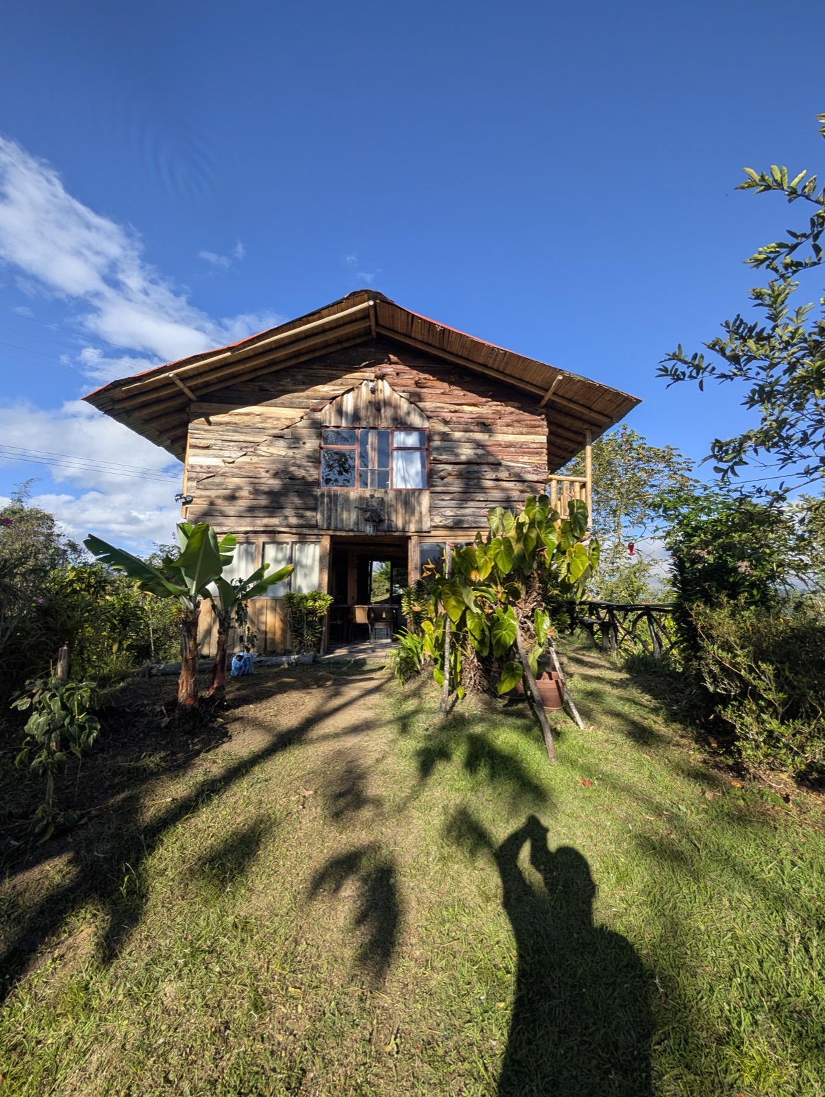 La cabaña de madera entre el jardín